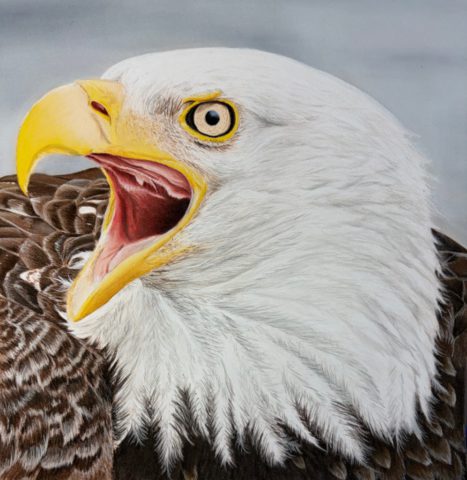 "Freedom Calling" - Jacquelyn Dehring