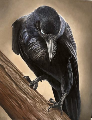 "Proceed with Caw-tion" - Jacquelyn Dehring