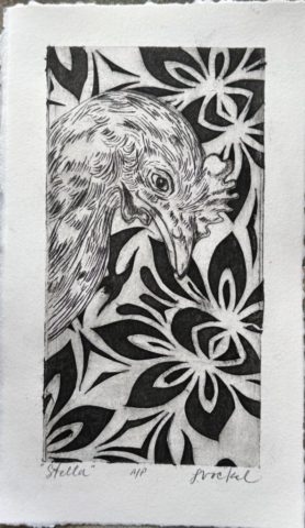 "Stella" - Lyndsey Vockel
